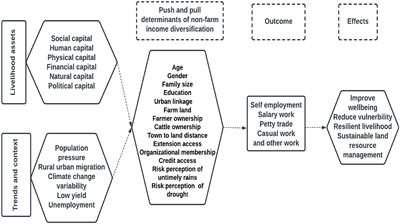 Exploring the contributions of non-farm income diversification for improving soil and water conservation practices and reducing rural poverty in rain-fed areas of Punjab, Pakistan